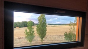 Een uitzicht op een veld en bomen vanuit een raam.