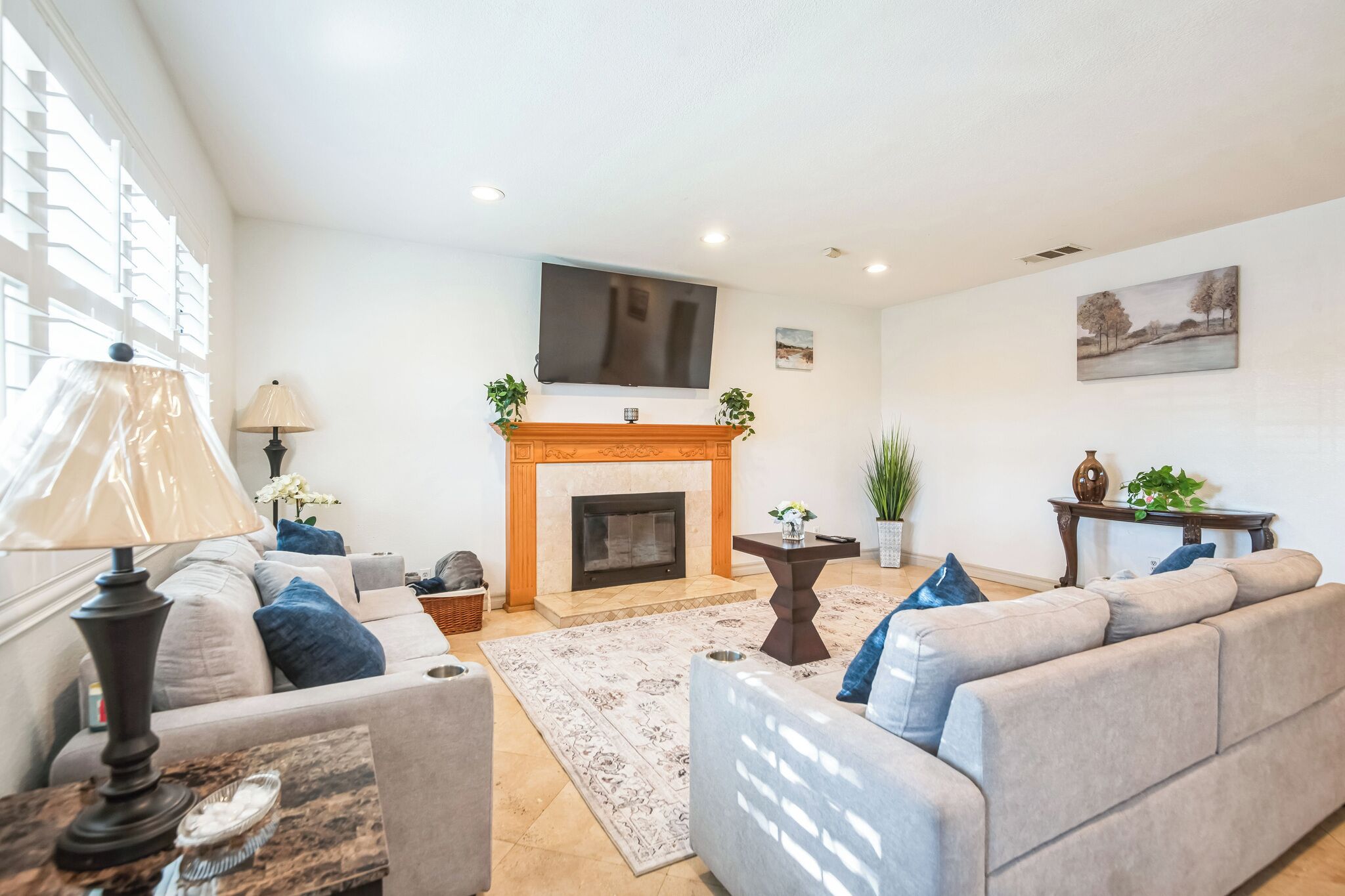 Smart TV, fireplace, books, stereo