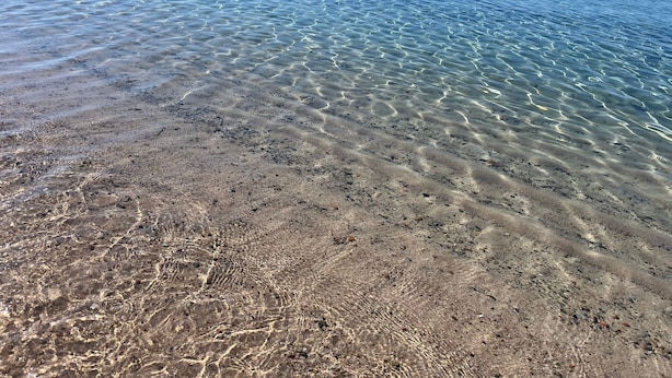 Una vista despejada de una playa con aguas poco profundas y una orilla arenosa.