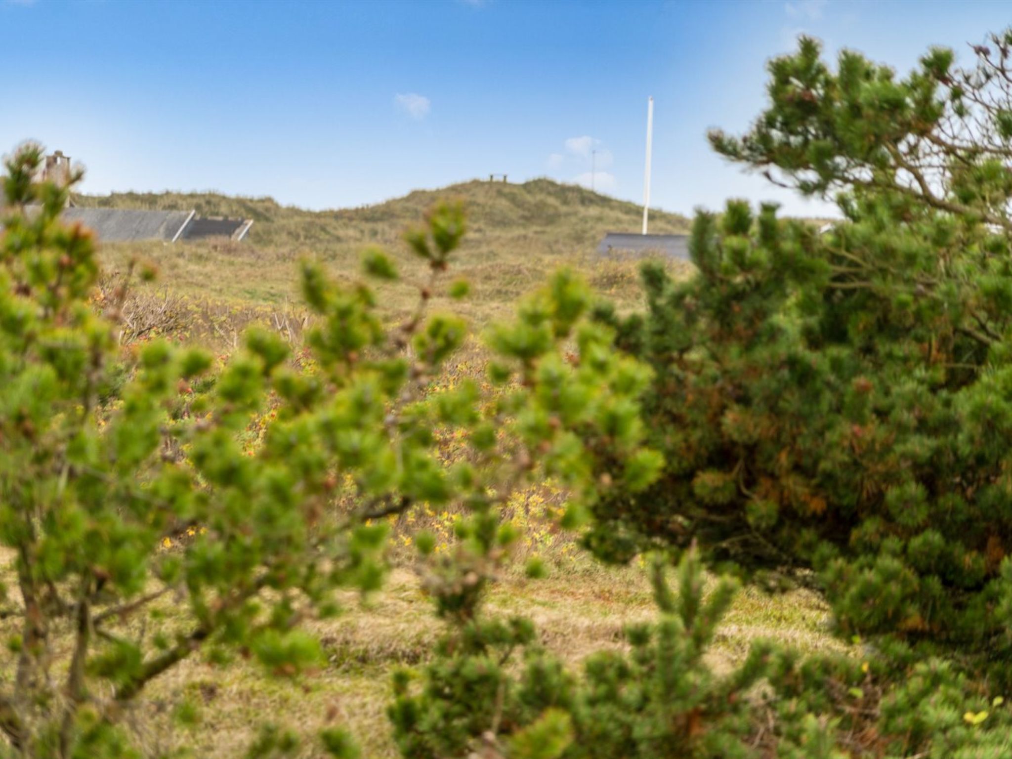 A natural landscape with a hill, sparse vegetation, and a distant structure.