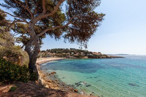 A coastal landscape with a clear beach, rocky shoreline, and a tree-lined area. - Spacious Apartment with Private Terrace and Wi-Fi (Sanary-sur-Mer)