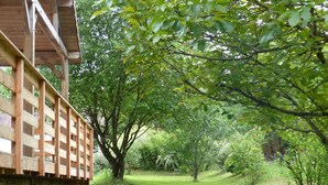 A wooden deck with a lattice railing, a small play structure, and a grassy area with trees.