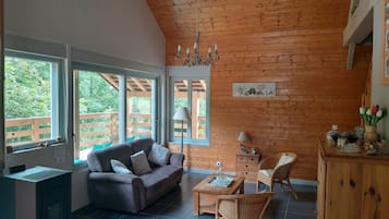 Télévision, cheminée, lecteur de DVD, livres