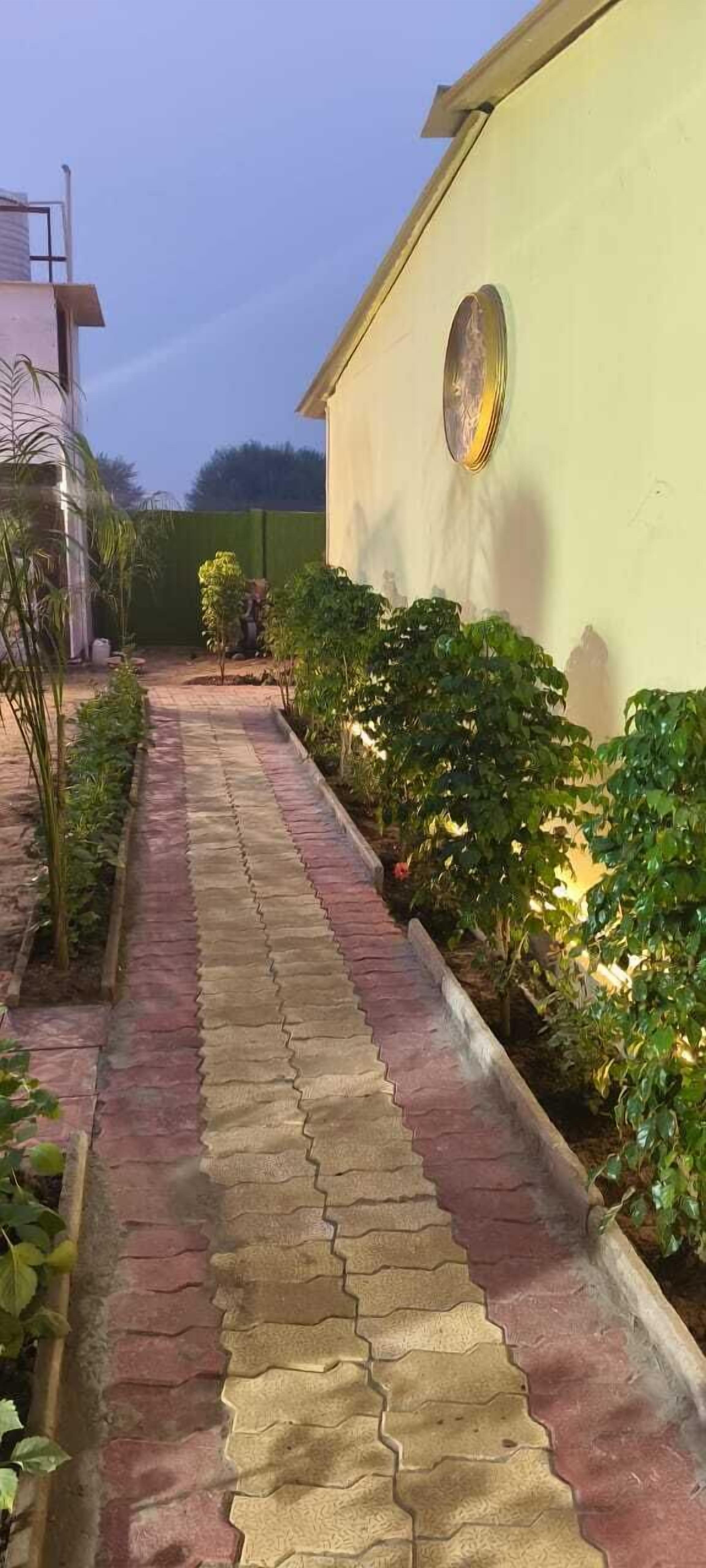 Garden view