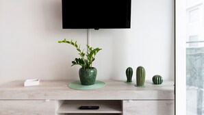 A flat-screen TV mounted on a wall above a wooden desk with a green plant, two cacti, and a remote control on the desk. - Apartment 'Di Titina' with Private Terrace and Air Conditioning (Otranto)