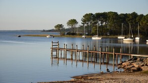 Un lac paisible, avec une jetée en bois qui s’avance sur l’eau, entouré d’arbres et bordé de plusieurs bateaux amarrés à proximité.