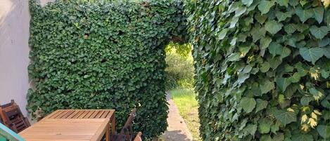 Restauration en plein air