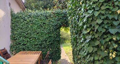 Small vacation home in barga.