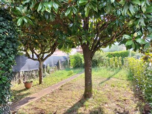 Property grounds - Small vacation home in barga.  (Barga)