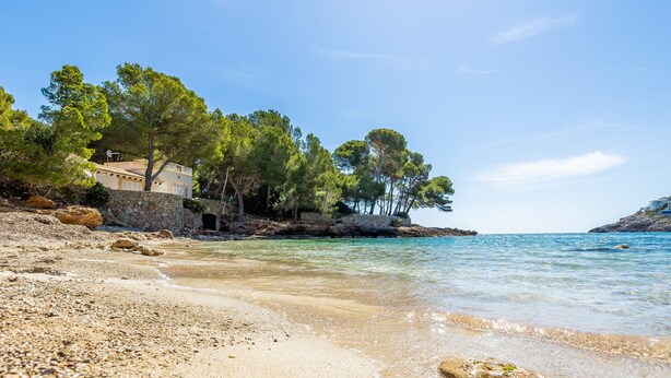 A beach with a stone wall, clear water, and trees. - Holiday Home 'Aladern' with Sea View, Private Terrace and Wi-Fi (Font de Sa Cala)