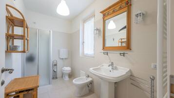 Shower, hair dryer, bidet, towels