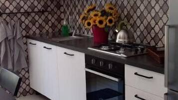 Kühlschrank, Mikrowelle, Herdplatte, Geschirrspüler