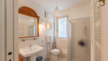 Shower, hair dryer, bidet, towels