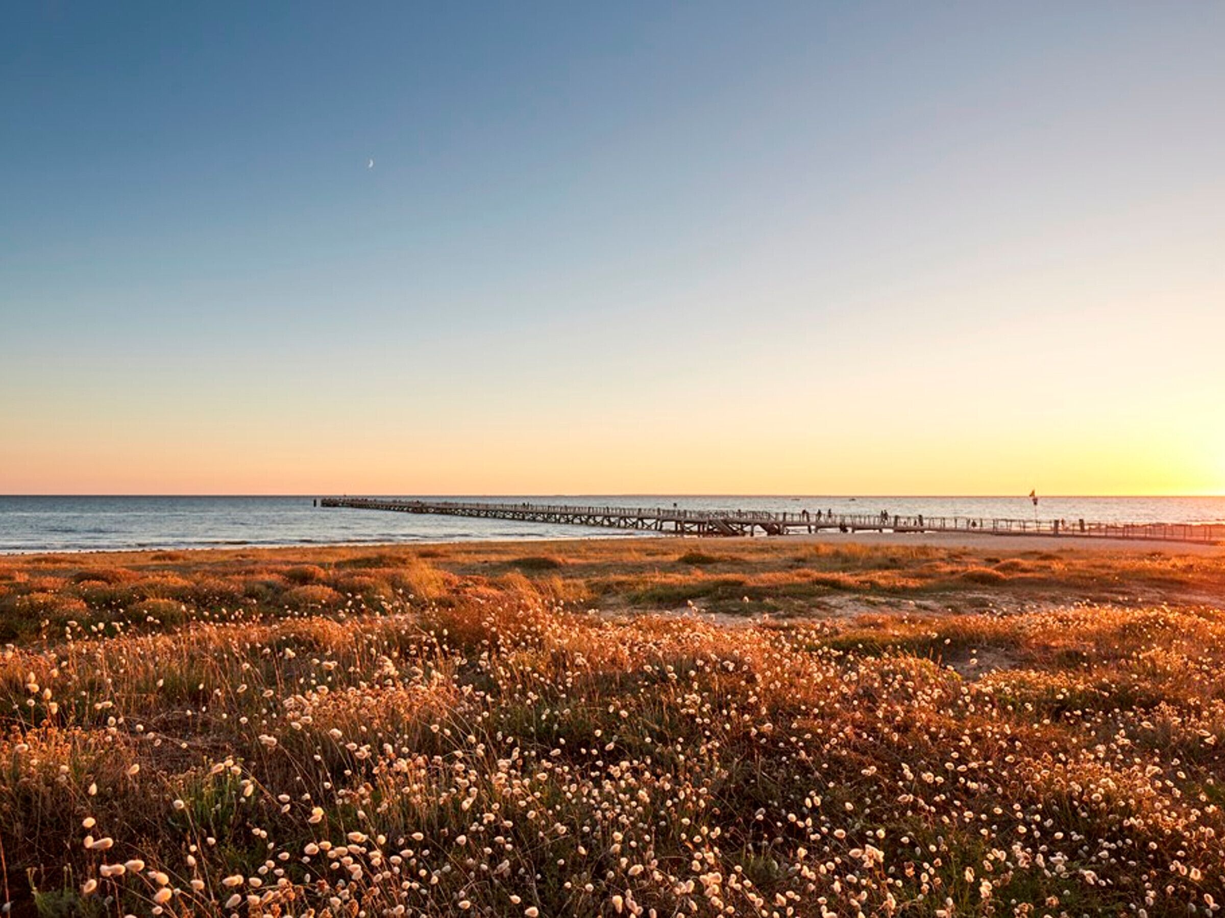Accommodatie ligt op het strand