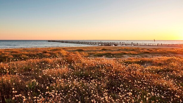 Strand