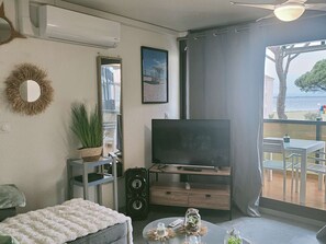 TV