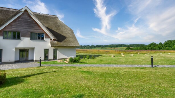 A modern house with a thatched roof, a paved driveway, and a grassy lawn with scattered rocks.