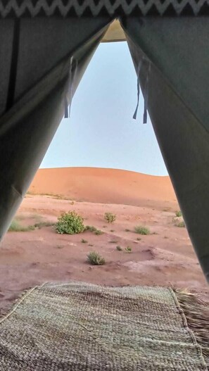 Luxe tent | Gratis wifi