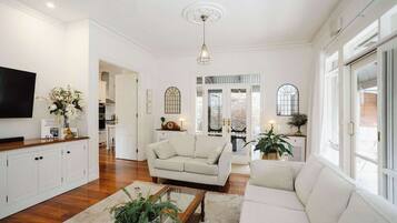 TV, fireplace, books