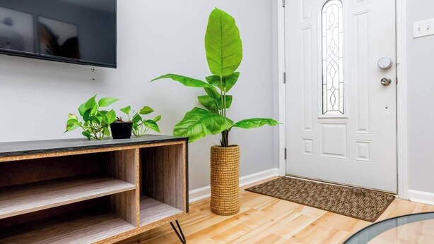 A modern entryway with a wooden console table, a large potted plant, a tall woven basket, and a white door with a decorative glass panel.