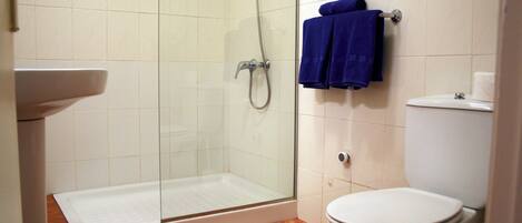 Shower, towels, toilet paper