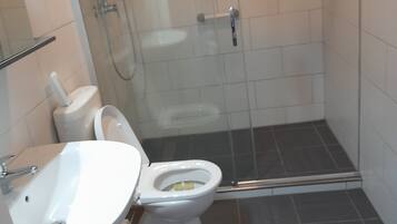 Shower, hair dryer, towels, toilet paper