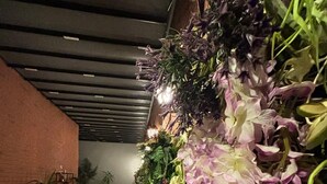 A room with a patterned floor, a brick wall, and a vertical garden with various plants and flowers. - vera pansıyon (Istanbul)