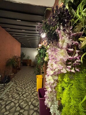 Reception - vera pansıyon (Istanbul)