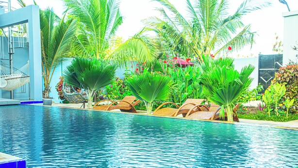 A swimming pool with lounge chairs and palm trees. - Jazira Palace (Pwani Mchangani)