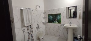 Shower, hair dryer, towels, soap