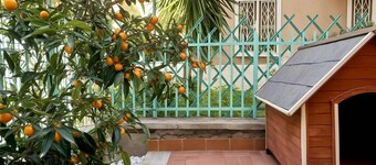 Casa Maria in Roma With 1 Bedrooms and 1 Bathrooms