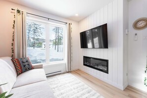 TV, fireplace, offices, computer monitors