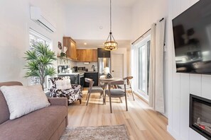 TV, fireplace, offices, computer monitors