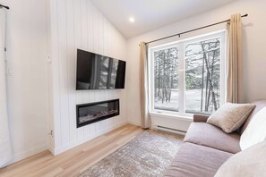 TV, fireplace, offices, computer monitors