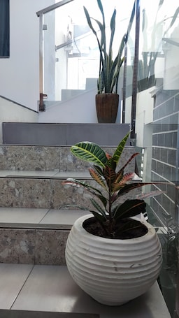 Desk, laptop workspace, free WiFi. HOTEL GALICIA