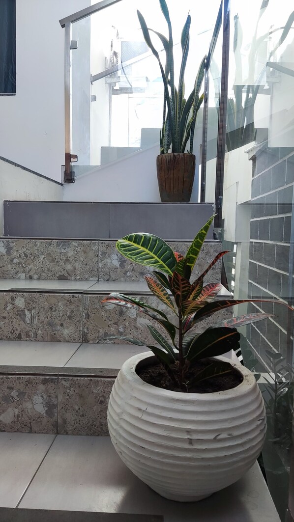 Desk, laptop workspace, free WiFi - HOTEL GALICIA (Conceição do Coité)