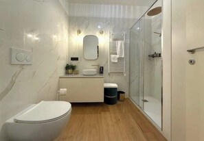 Shower, hair dryer, towels