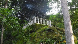 A staircase leading up a moss-covered hill with a balustrade, surrounded by dense green foliage. - Mogambo Ecolodge, a Private Botanical Garden Stay near Bogota (Bogotá)