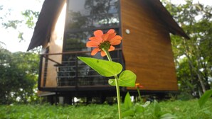 A modern, wooden cabin with a sloped roof, surrounded by lush greenery. - Mogambo Ecolodge, a Private Botanical Garden Stay near Bogota (Bogotá)
