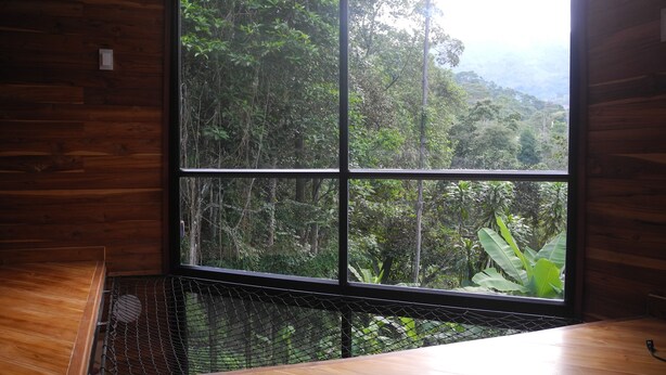 A room with a large window overlooking a dense forest. - Mogambo Ecolodge, a Private Botanical Garden Stay near Bogota (Bogotá)