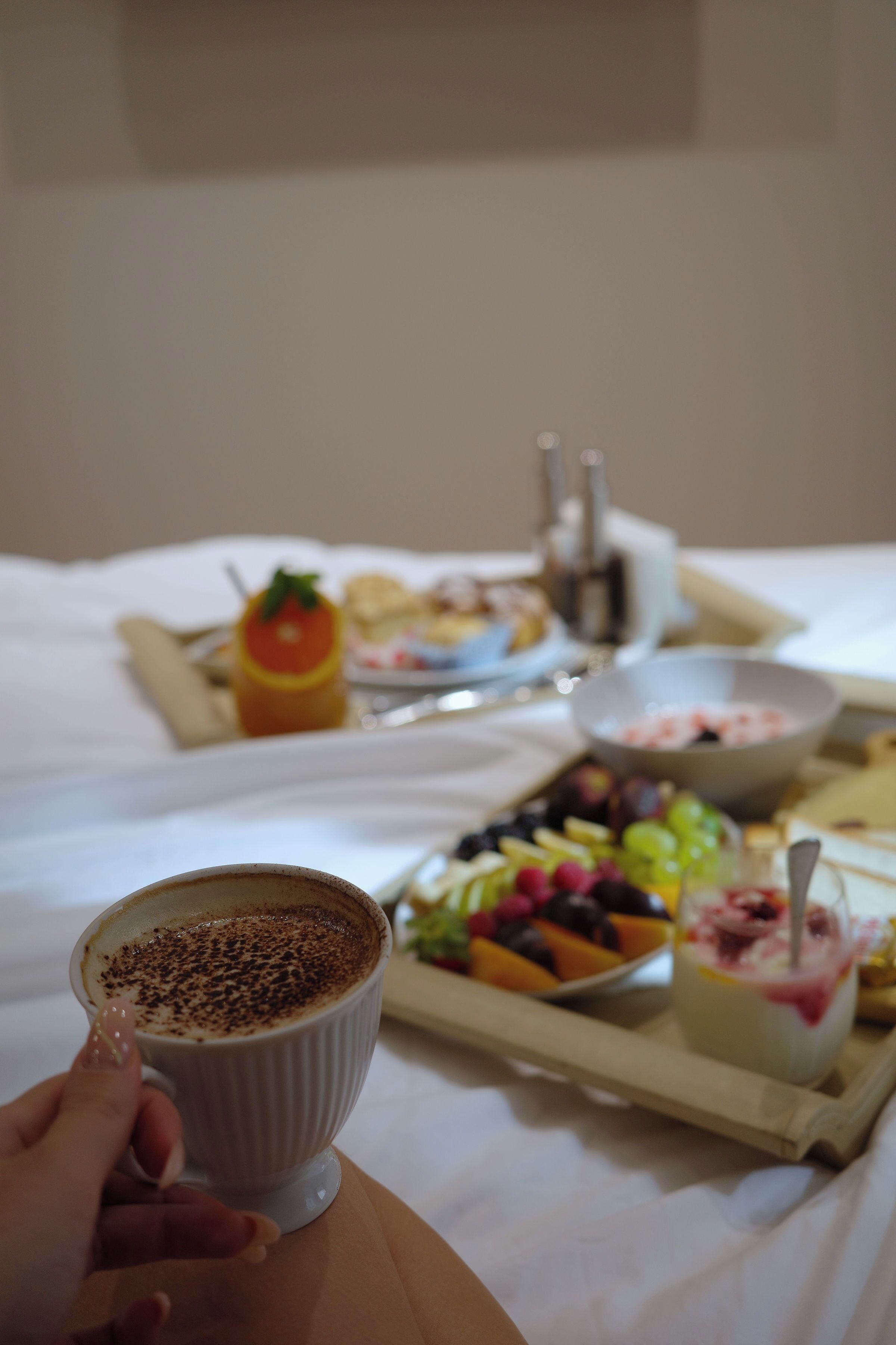 Photo - HOTEL METROPOL Club House