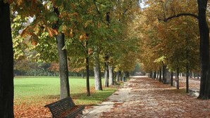 A park pathway lined with trees and a bench. - HOTEL BRENTA  (Parma)