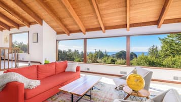 Televisión, chimenea y reproductor de DVD