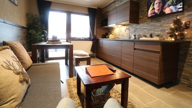 A compact living space with a sofa, a small table, a TV mounted on the wall, a kitchen area with wooden cabinets, and a small Christmas tree. - Apartment Haus Tauern Am See  (Heiterwang)