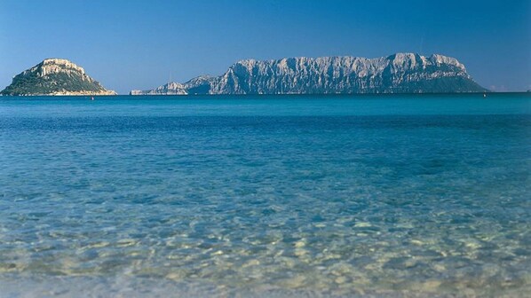 On the beach, sun-loungers