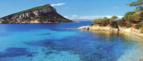 Sur la plage, chaise longue