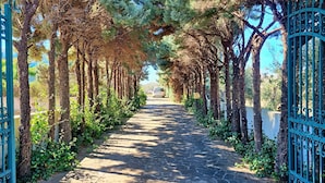 A stone pathway flanked by trees and metal gates, leading to a distant car.
