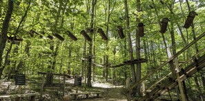 A forested area with wooden structures and metal pipes.