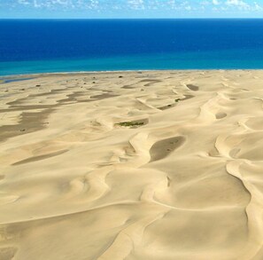 Un extenso paisaje arenoso con dunas ondulantes y un cielo azul despejado.