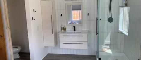 Shower, hair dryer, towels, soap
